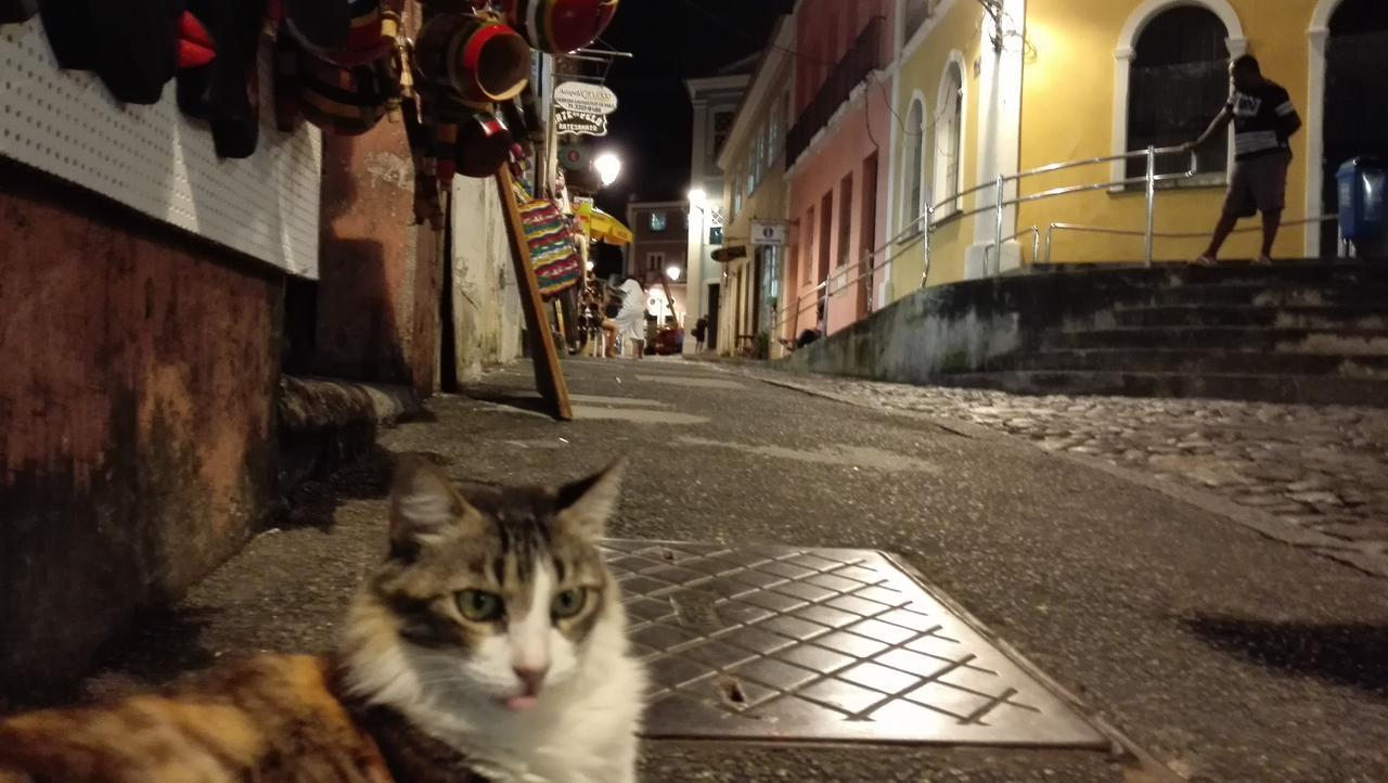 Pousada Terra Nossa Salvador da Bahia Dış mekan fotoğraf